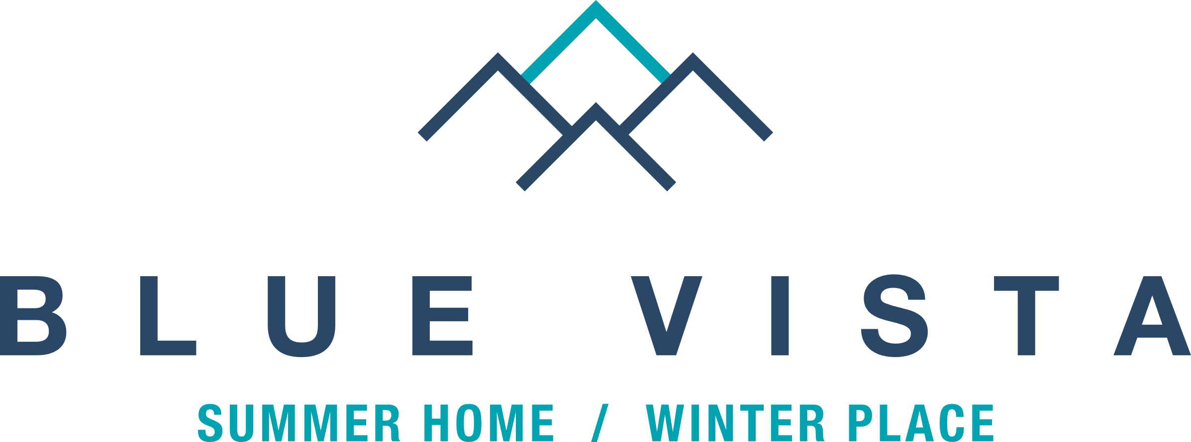 Blue Vista Logo