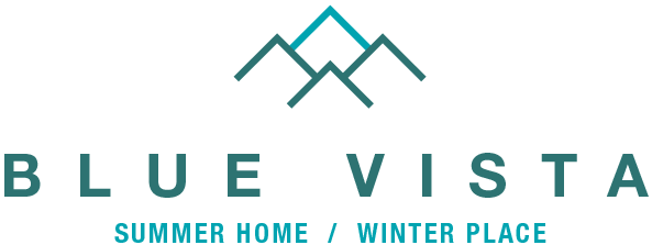 Blue Vista Logo
