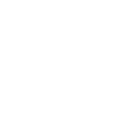 Royalton Homes Icon